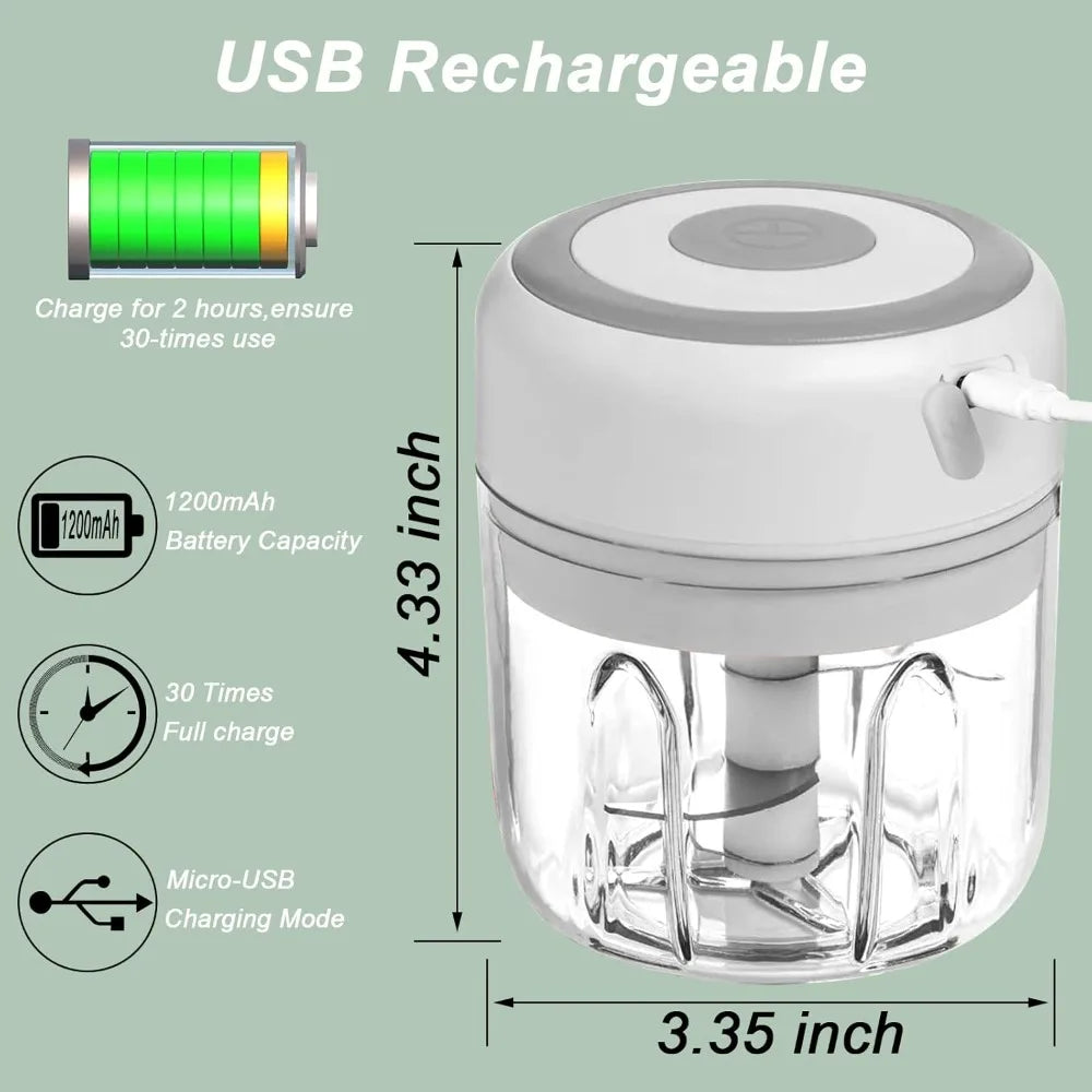 Azylo Portable Mini Electric Food & Garlic Chopper (250ml)
