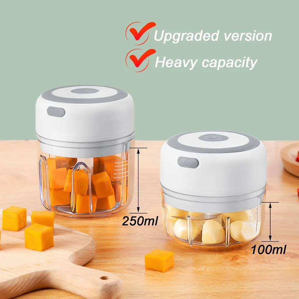 Azylo Portable Mini Electric Food & Garlic Chopper (250ml)