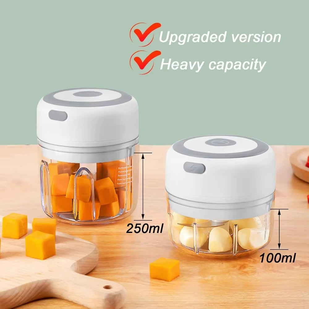 Azylo Portable Mini Electric Food & Garlic Chopper (250ml)
